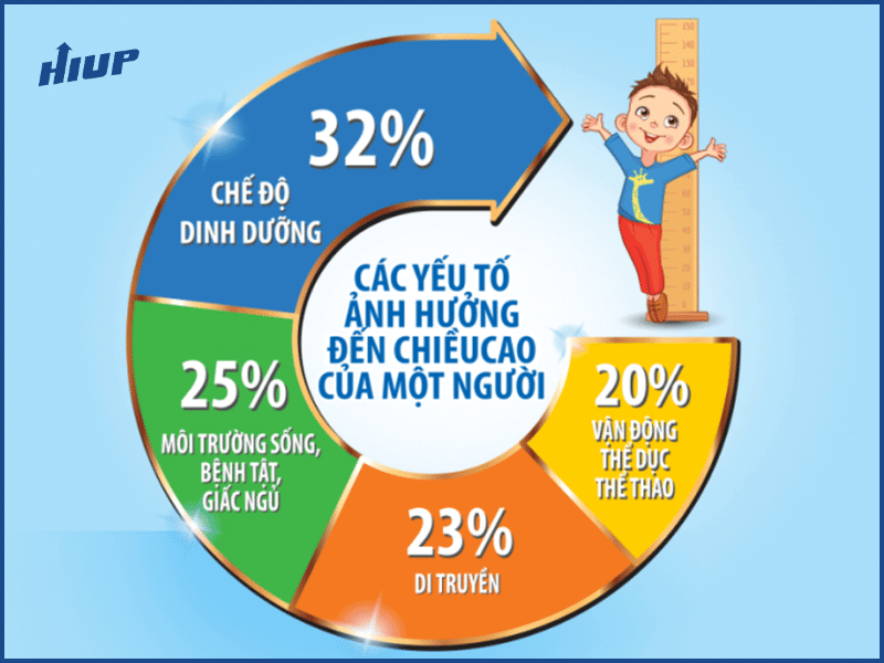 Yếu tố ảnh hưởng đến chiều cao 