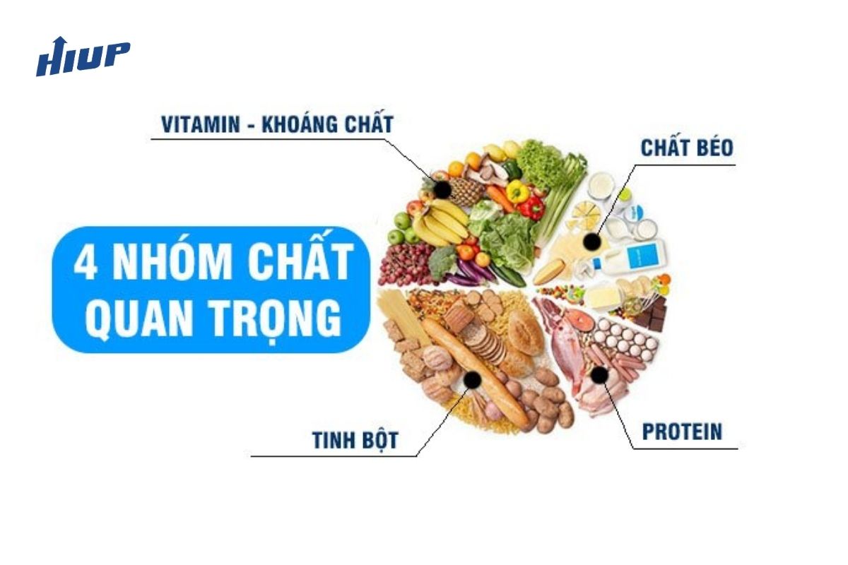 Cha mẹ cần bổ sung đầy đủ các nhóm chất cho trẻ